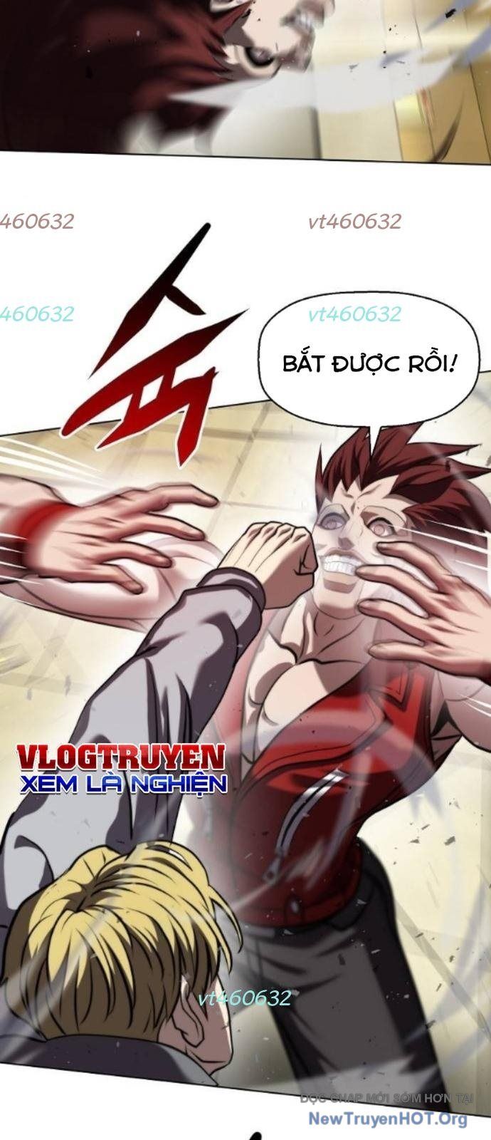 Đấu Trường Chiến Đấu