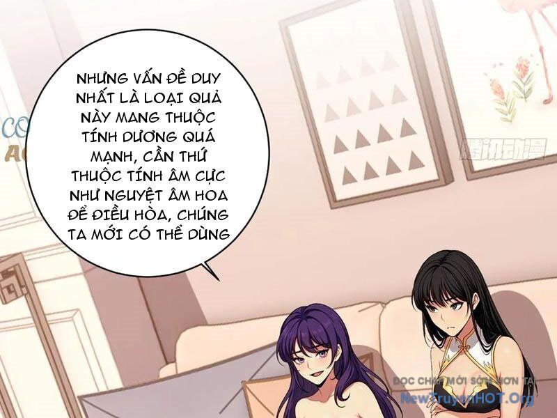 Ma Tôn Nữ Đế Xuyên Không Thành Cấp Trên Của Tôi!
