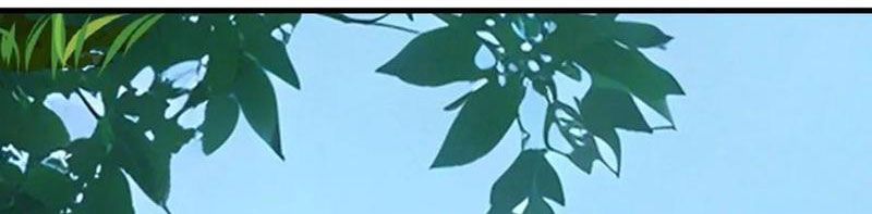 Ma Tôn Nữ Đế Xuyên Không Thành Cấp Trên Của Tôi!