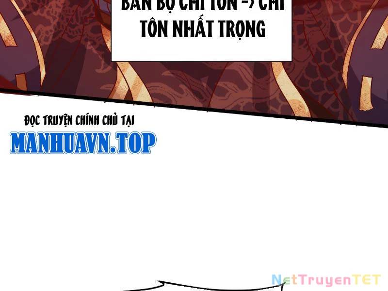 Hệ Thống Hèn Mọn Quỳ Xuống Cầu Xin Ta Vô Địch