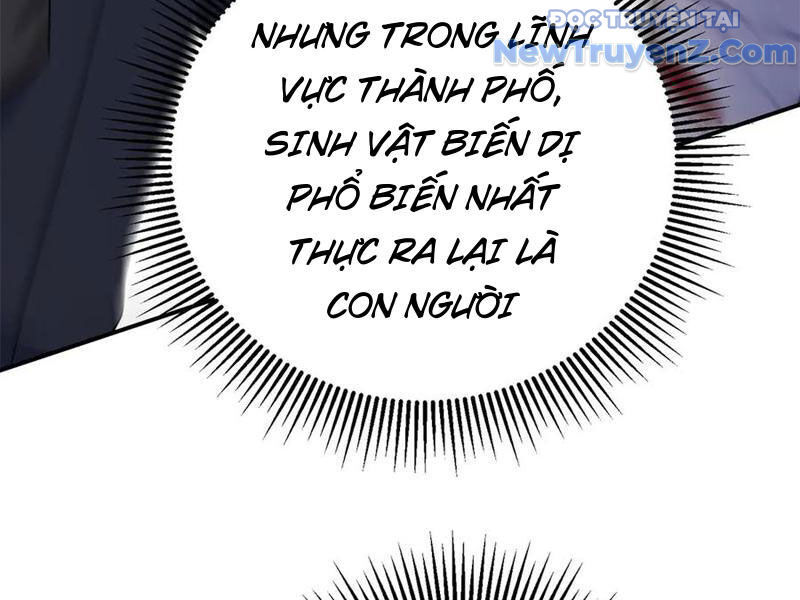 Sau Khi Sống Lại Ở Mạt Thế, Ta Điên Cuồng Thăng Cấp