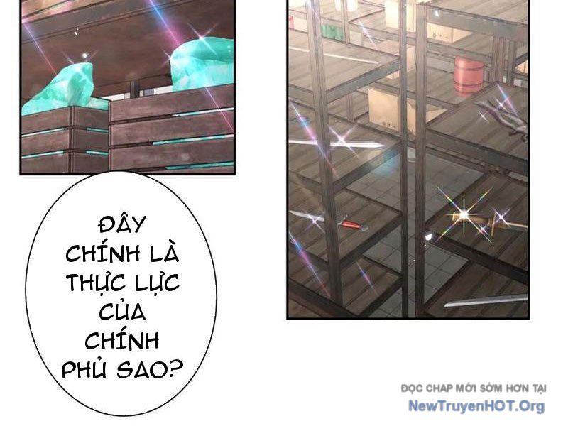 Sau Khi Sống Lại Ở Mạt Thế, Ta Điên Cuồng Thăng Cấp