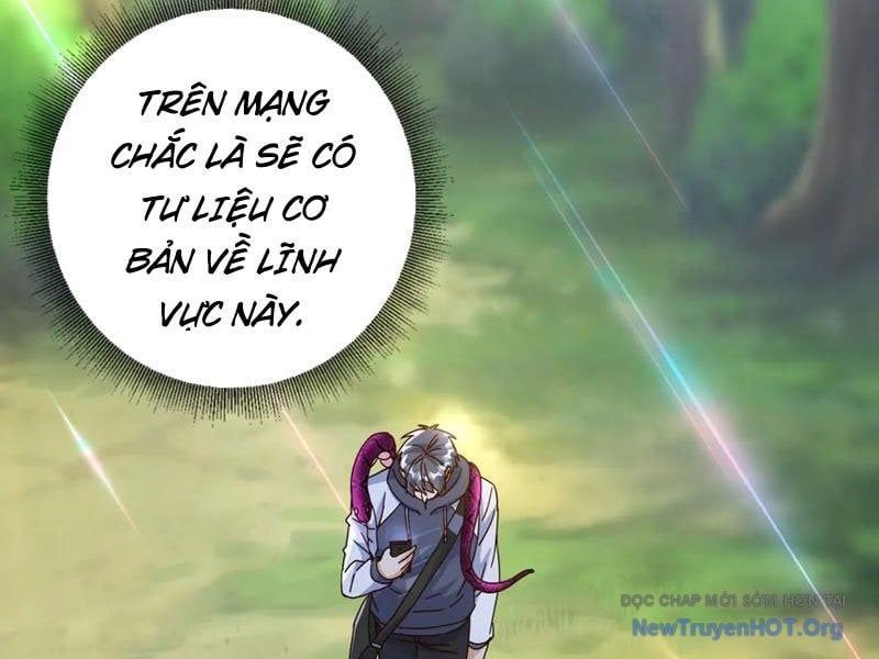 Sau Khi Sống Lại Ở Mạt Thế, Ta Điên Cuồng Thăng Cấp