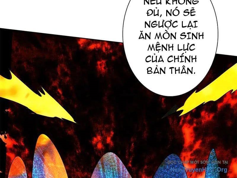 Sau Khi Sống Lại Ở Mạt Thế, Ta Điên Cuồng Thăng Cấp