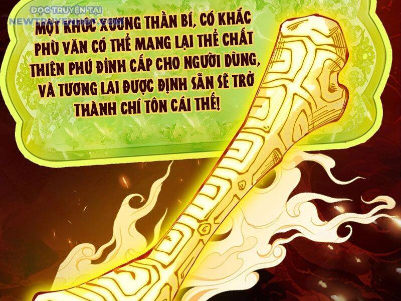 Gặp Mạnh Thì Càng Mạnh, Tu Vi Của Ta Không Giới Hạn