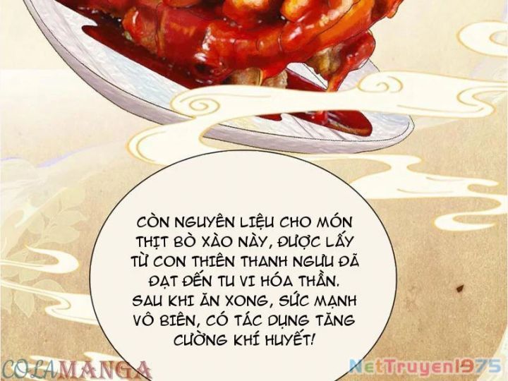 Gặp Mạnh Thì Càng Mạnh, Tu Vi Của Ta Không Giới Hạn