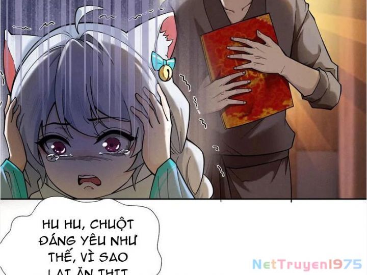 Gặp Mạnh Thì Càng Mạnh, Tu Vi Của Ta Không Giới Hạn