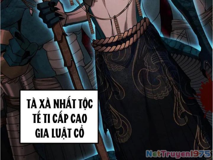 Gặp Mạnh Thì Càng Mạnh, Tu Vi Của Ta Không Giới Hạn