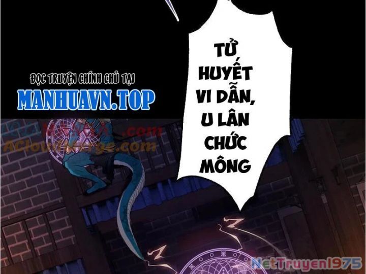 Gặp Mạnh Thì Càng Mạnh, Tu Vi Của Ta Không Giới Hạn