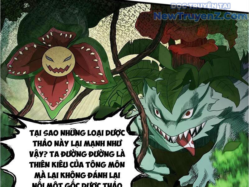 Gặp Mạnh Thì Càng Mạnh, Tu Vi Của Ta Không Giới Hạn