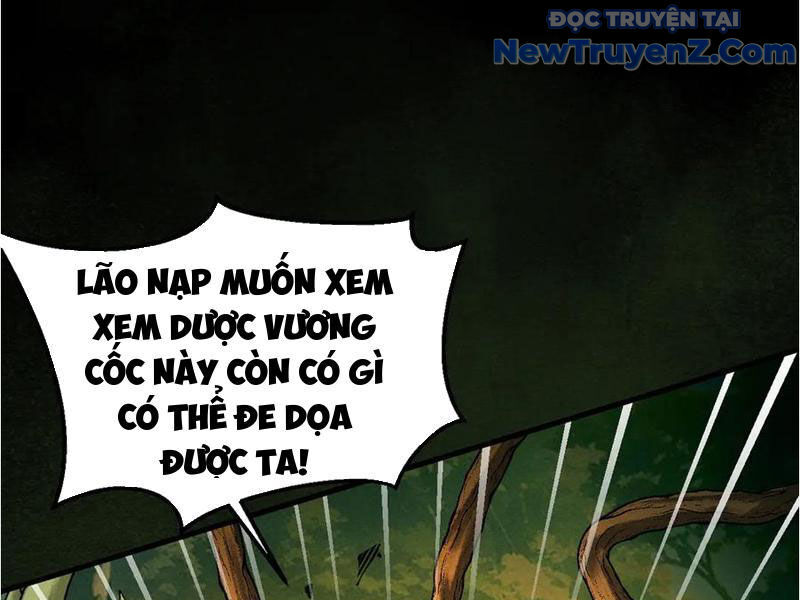 Gặp Mạnh Thì Càng Mạnh, Tu Vi Của Ta Không Giới Hạn