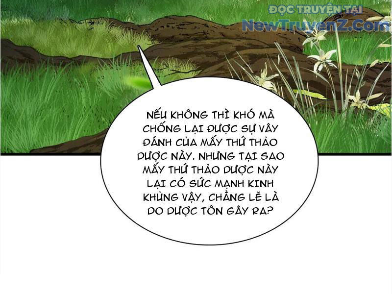 Gặp Mạnh Thì Càng Mạnh, Tu Vi Của Ta Không Giới Hạn