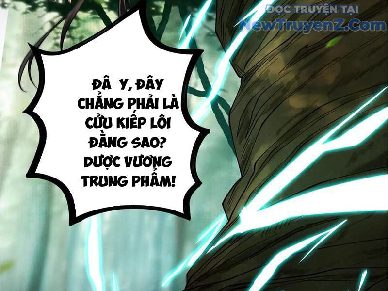 Gặp Mạnh Thì Càng Mạnh, Tu Vi Của Ta Không Giới Hạn
