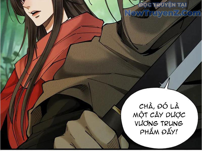 Gặp Mạnh Thì Càng Mạnh, Tu Vi Của Ta Không Giới Hạn
