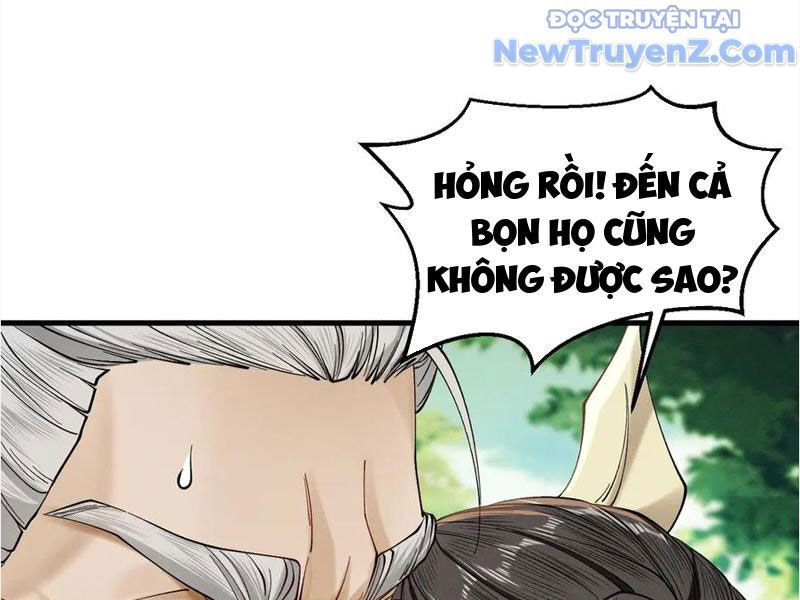 Gặp Mạnh Thì Càng Mạnh, Tu Vi Của Ta Không Giới Hạn