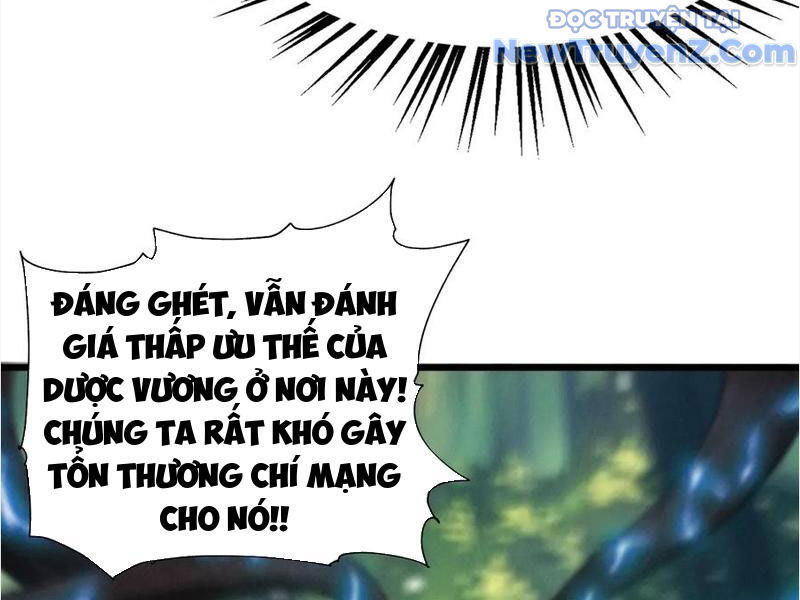 Gặp Mạnh Thì Càng Mạnh, Tu Vi Của Ta Không Giới Hạn