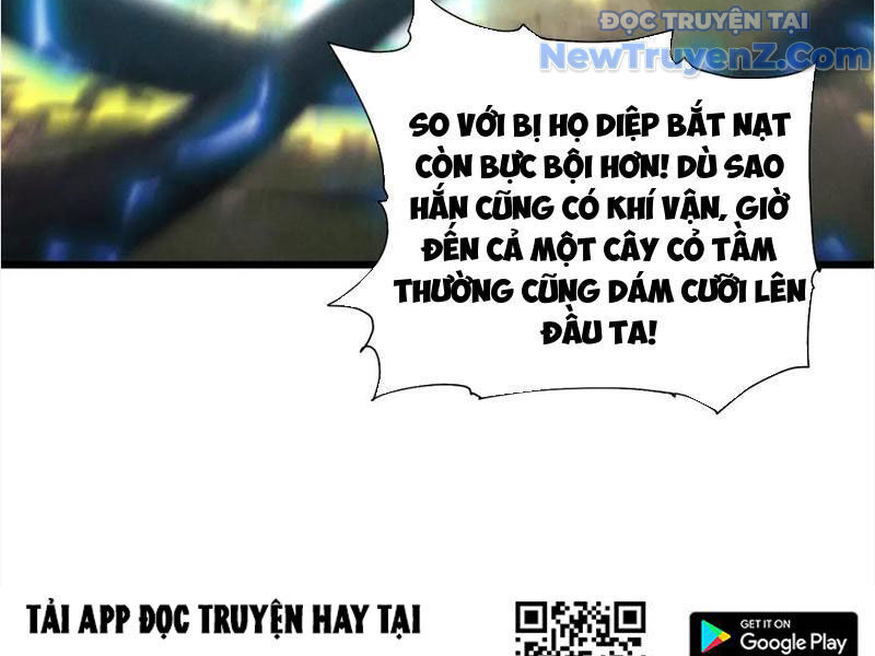 Gặp Mạnh Thì Càng Mạnh, Tu Vi Của Ta Không Giới Hạn