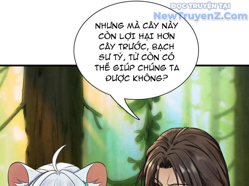 Gặp Mạnh Thì Càng Mạnh, Tu Vi Của Ta Không Giới Hạn