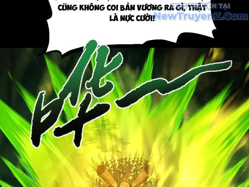Gặp Mạnh Thì Càng Mạnh, Tu Vi Của Ta Không Giới Hạn
