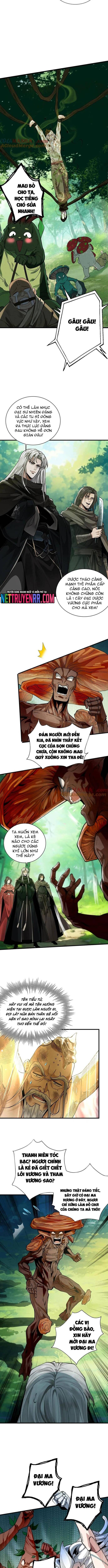 Gặp Mạnh Thì Càng Mạnh, Tu Vi Của Ta Không Giới Hạn