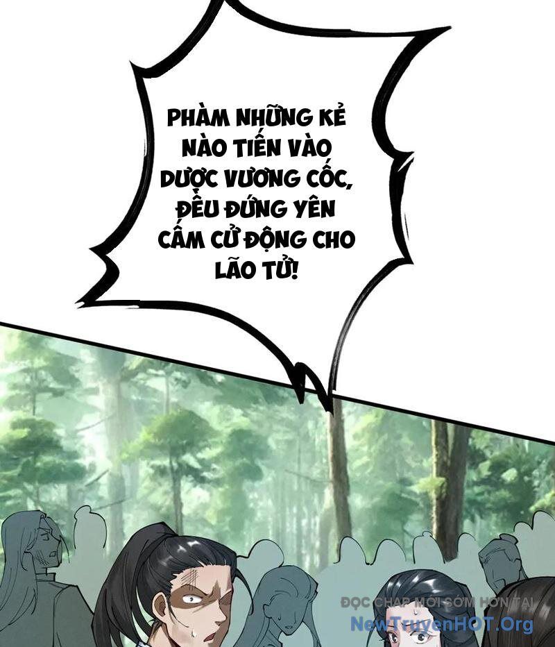 Gặp Mạnh Thì Càng Mạnh, Tu Vi Của Ta Không Giới Hạn
