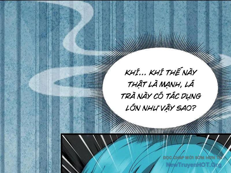 Gặp Mạnh Thì Càng Mạnh, Tu Vi Của Ta Không Giới Hạn