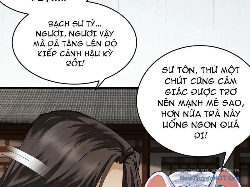 Gặp Mạnh Thì Càng Mạnh, Tu Vi Của Ta Không Giới Hạn