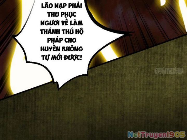 Gặp Mạnh Thì Càng Mạnh, Tu Vi Của Ta Không Giới Hạn