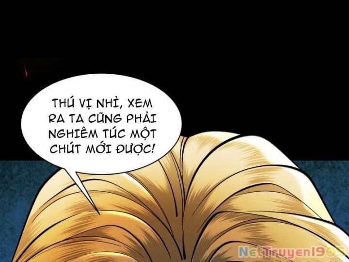 Gặp Mạnh Thì Càng Mạnh, Tu Vi Của Ta Không Giới Hạn
