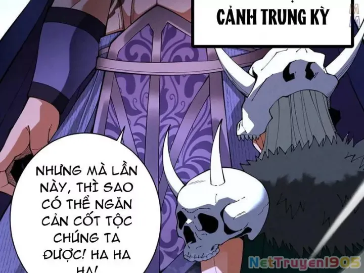 Gặp Mạnh Thì Càng Mạnh, Tu Vi Của Ta Không Giới Hạn