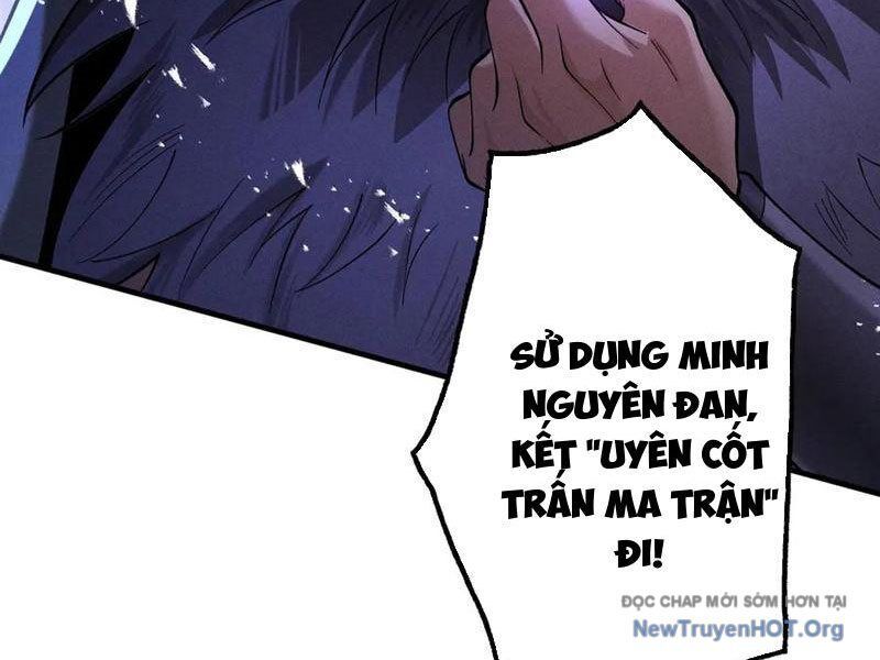 Gặp Mạnh Thì Càng Mạnh, Tu Vi Của Ta Không Giới Hạn