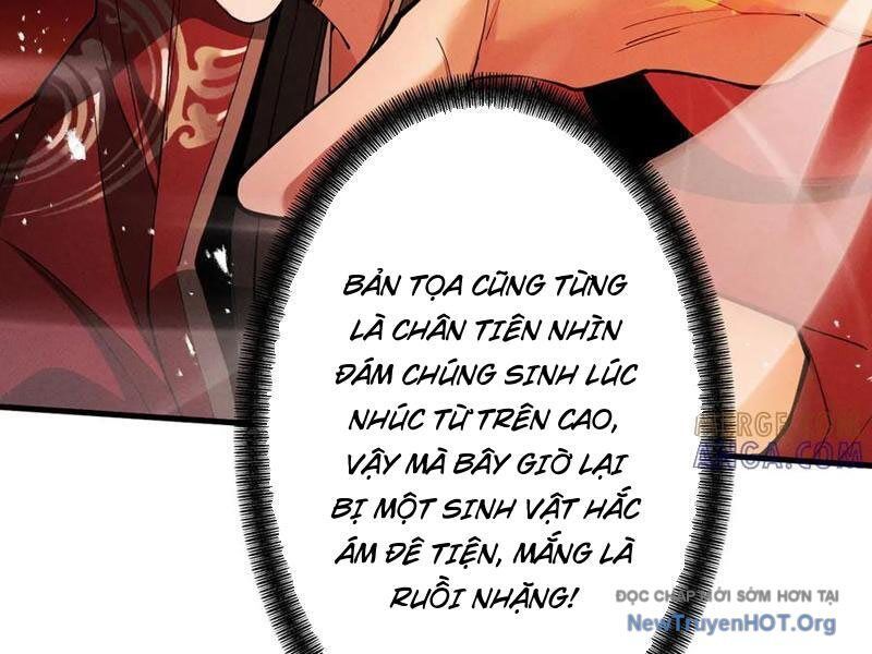 Gặp Mạnh Thì Càng Mạnh, Tu Vi Của Ta Không Giới Hạn