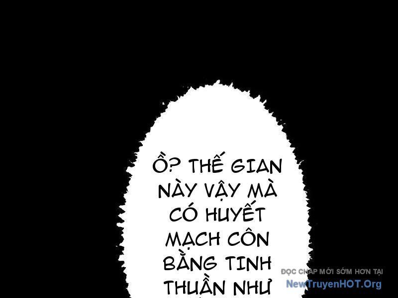 Gặp Mạnh Thì Càng Mạnh, Tu Vi Của Ta Không Giới Hạn