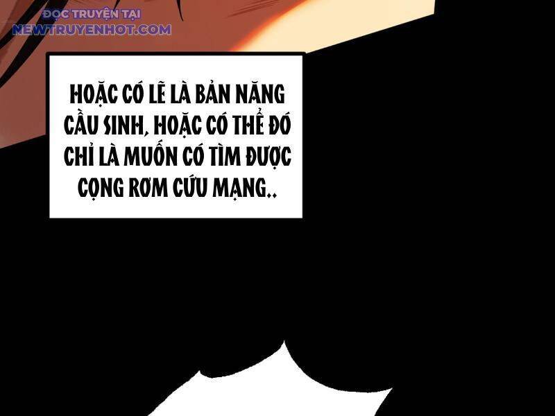 Gặp Mạnh Thì Càng Mạnh, Tu Vi Của Ta Không Giới Hạn