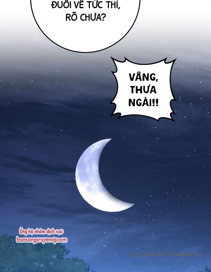Hoàng Đế Thép
