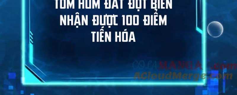 Linh Khí Khôi Phục: Từ Cá Chép Tiến Hoá Thành Thần Long