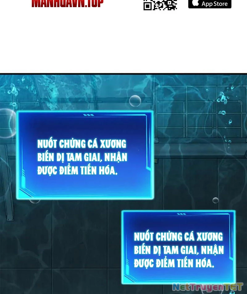 Linh Khí Khôi Phục: Từ Cá Chép Tiến Hoá Thành Thần Long