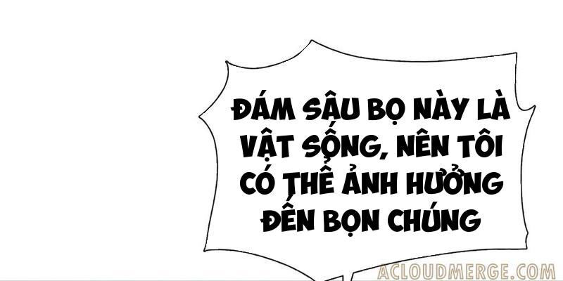 Kẻ Tàn Nhẫn Ngày Tận Thế: Bắt Đầu Dự Trữ Hàng Tỷ Tấn Vật Tư