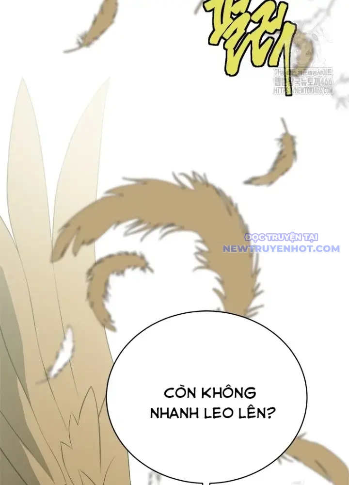 Lv 1 Bất Khả Chiến Bại