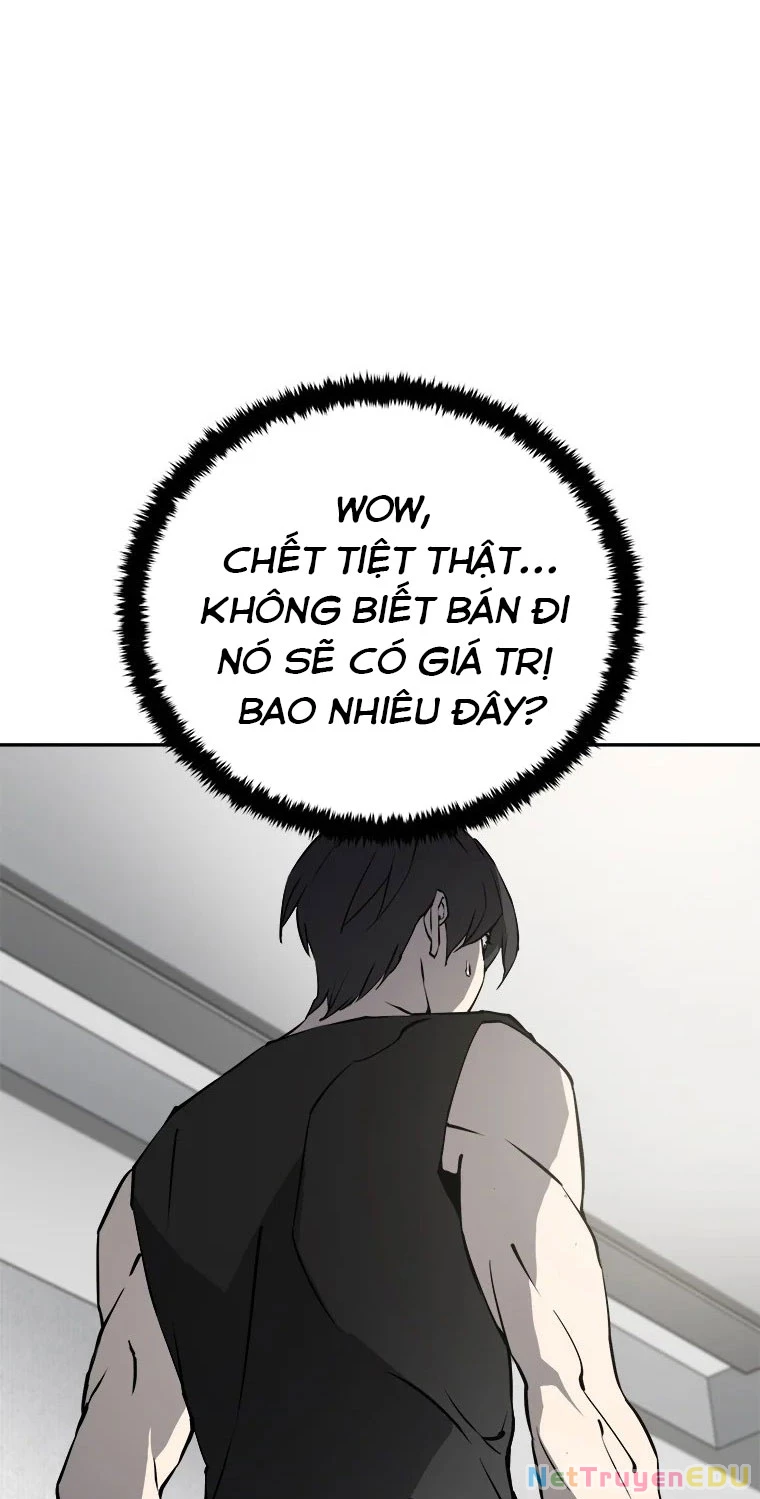 Lv 1 Bất Khả Chiến Bại