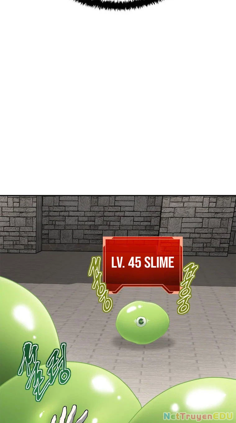 Lv 1 Bất Khả Chiến Bại