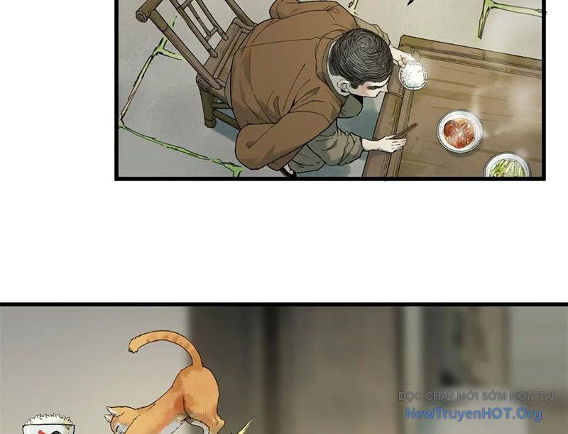 Xích Tâm Tuần Thiên