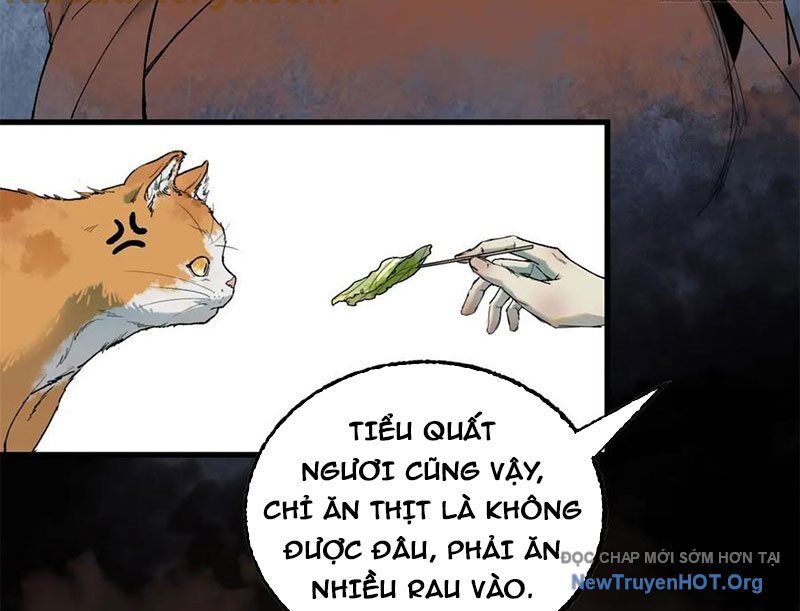 Xích Tâm Tuần Thiên