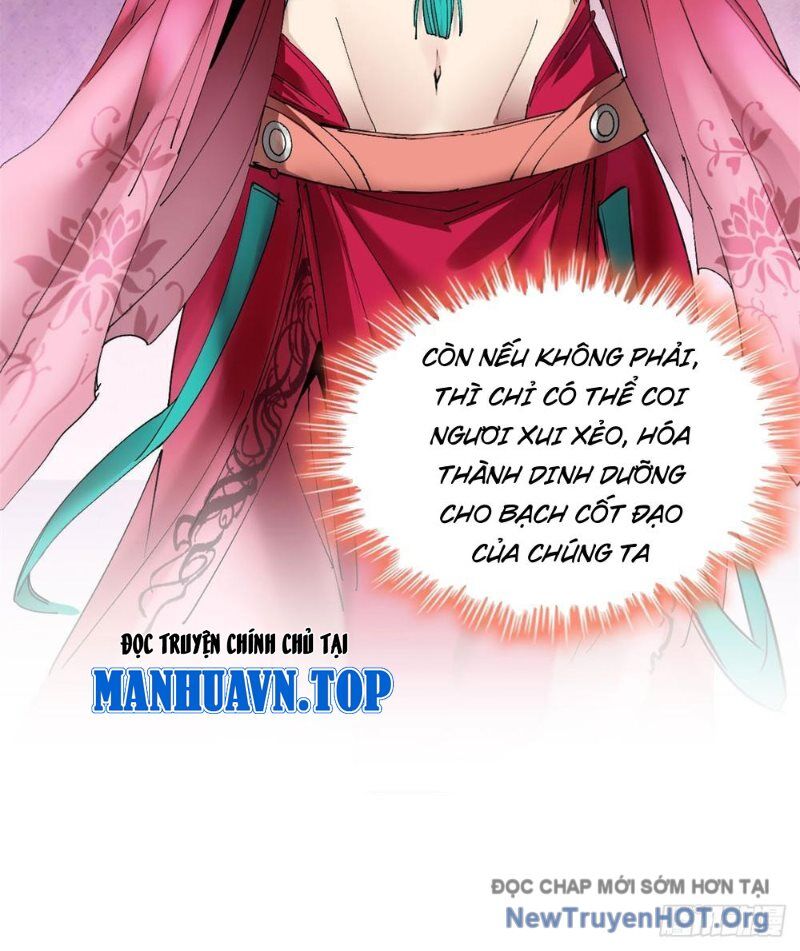 Xích Tâm Tuần Thiên