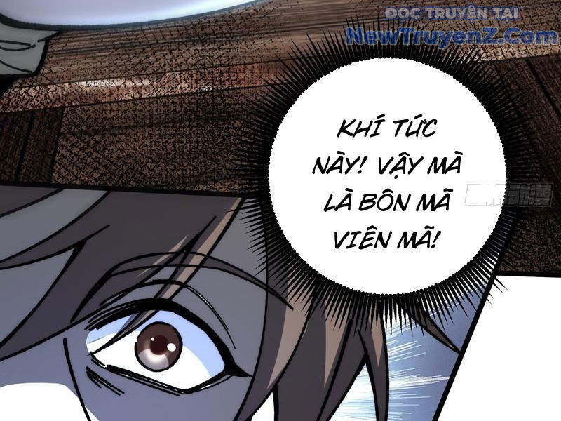 Thành Thần Bắt Đầu Từ Thủy Hầu Tử