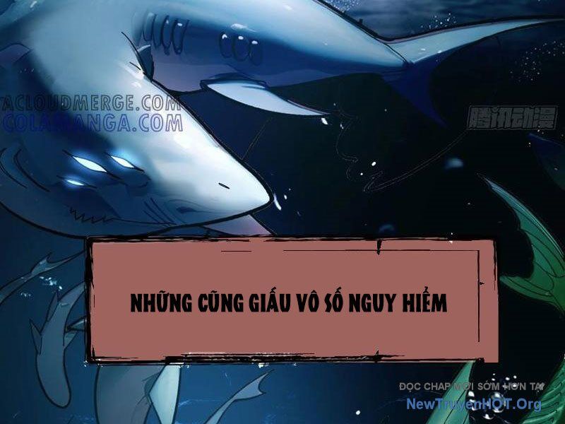 Thành Thần Bắt Đầu Từ Thủy Hầu Tử