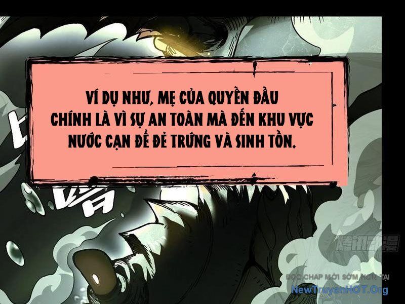 Thành Thần Bắt Đầu Từ Thủy Hầu Tử