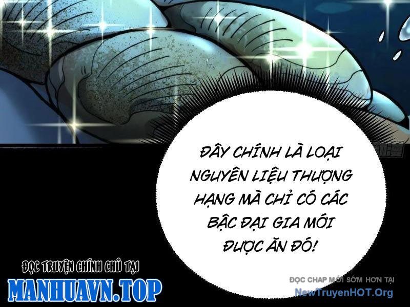 Thành Thần Bắt Đầu Từ Thủy Hầu Tử