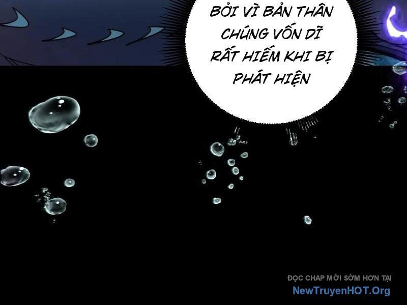 Thành Thần Bắt Đầu Từ Thủy Hầu Tử