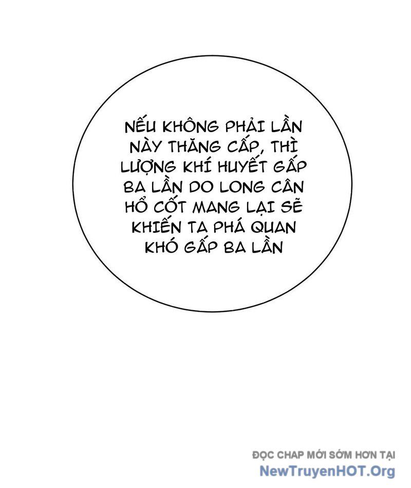 Thành Thần Bắt Đầu Từ Thủy Hầu Tử
